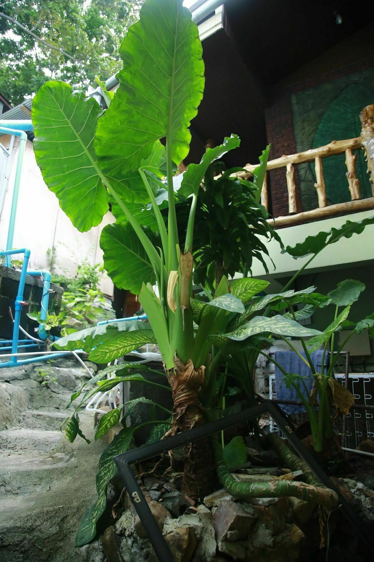 J.T. House Hotel Pulau Phi Phi Luaran gambar